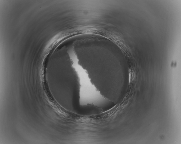 X0000097490339200802221420