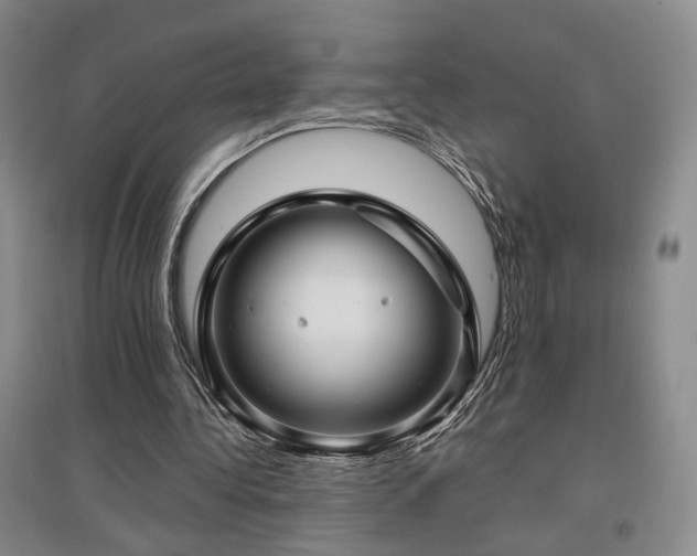 X0000097490340200802221420