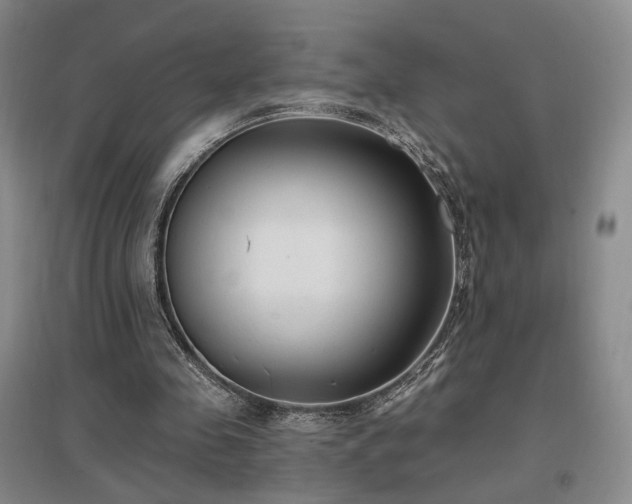 X0000097490341200802221420