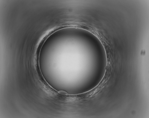 X0000097490342200802221420