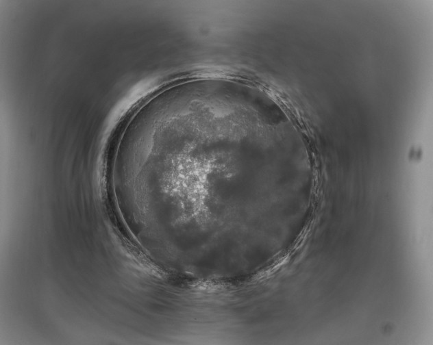 X0000097490343200802221420