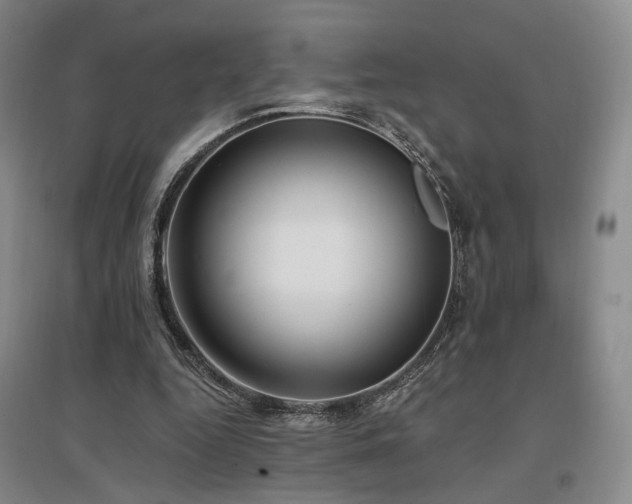 X0000097490344200802221420