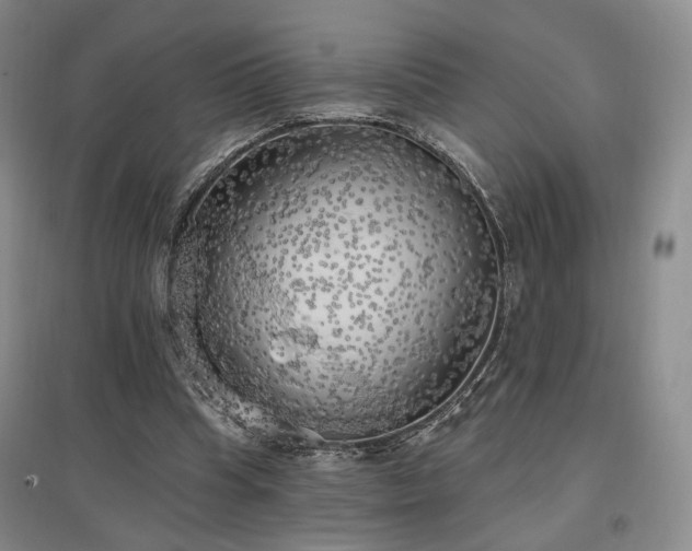 X0000097490345200802221420