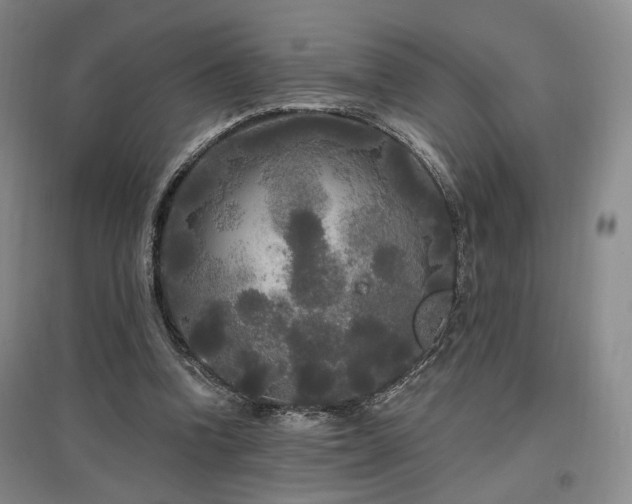 X0000097490346200802221420