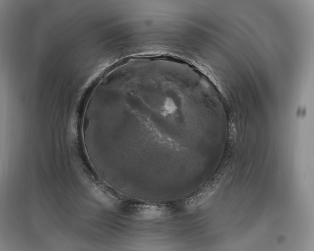 X0000097490347200802221420