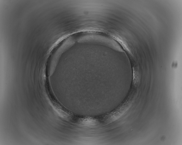 X0000097490348200802221420