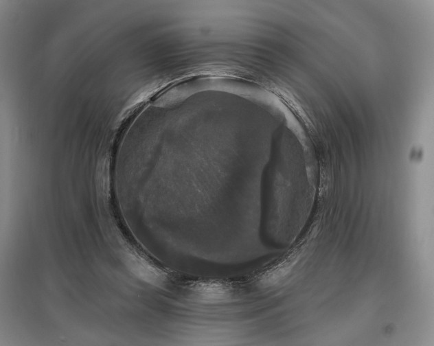 X0000097490349200802221420