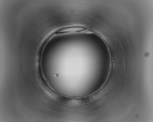 X0000097490350200802221420