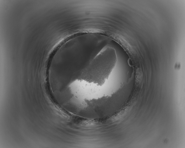 X0000097490351200802221420