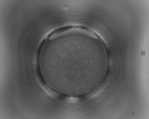 X0000097490352200802221420