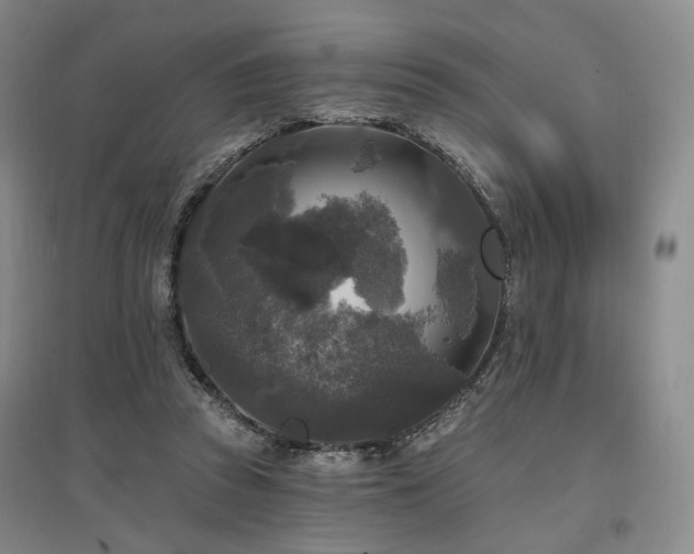 X0000097490353200802221420