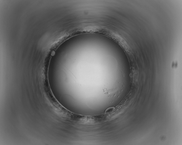 X0000097490354200802221420