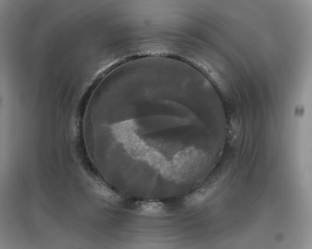 X0000097490355200802221420