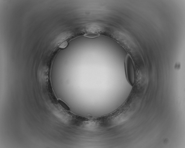 X0000097490356200802221420