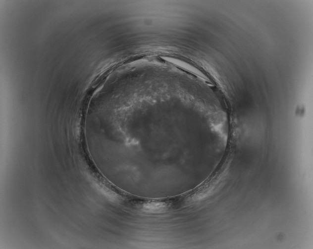 X0000097490357200802221420