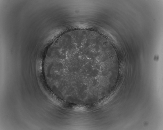 X0000097490358200802221420