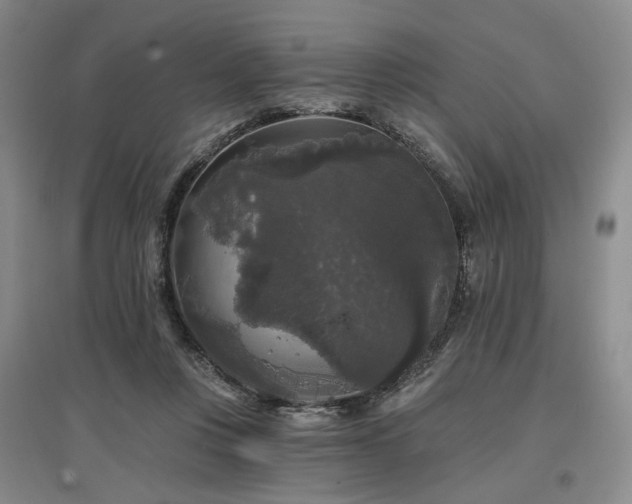 X0000097490359200802221420