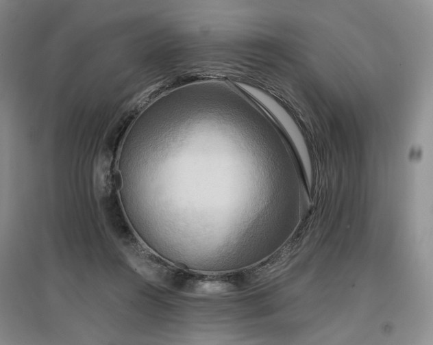 X0000097490360200802221420