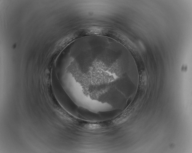 X0000097490361200802221420