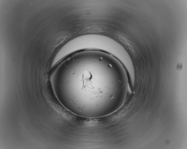 X0000097490362200802221420