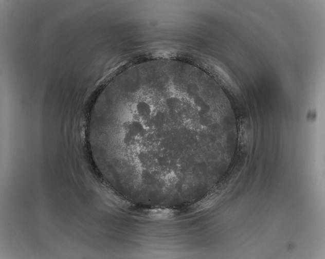 X0000097490363200802221420