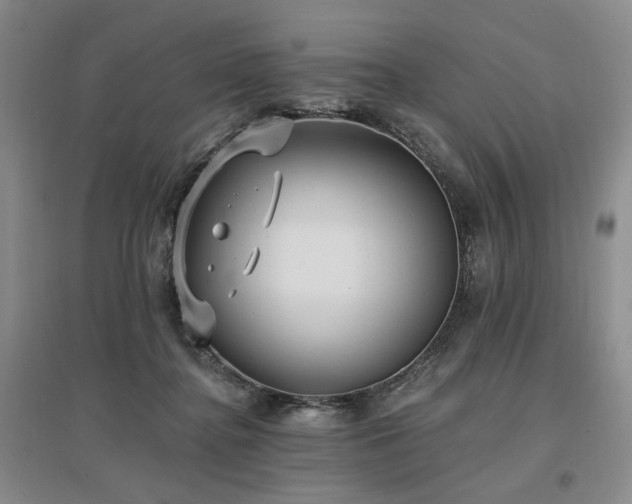 X0000097490364200802221420