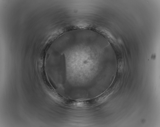 X0000097490365200802221420