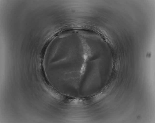 X0000097490366200802221420