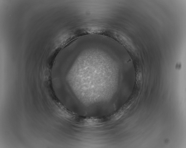 X0000097490367200802221420