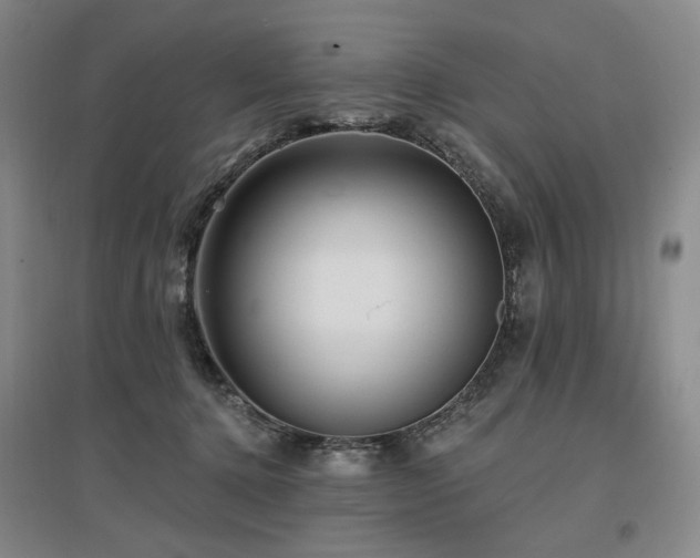 X0000097490368200802221420