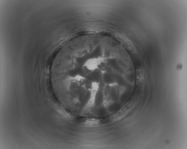 X0000097490369200802221421