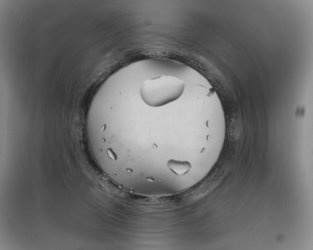 X0000097490370200802221421