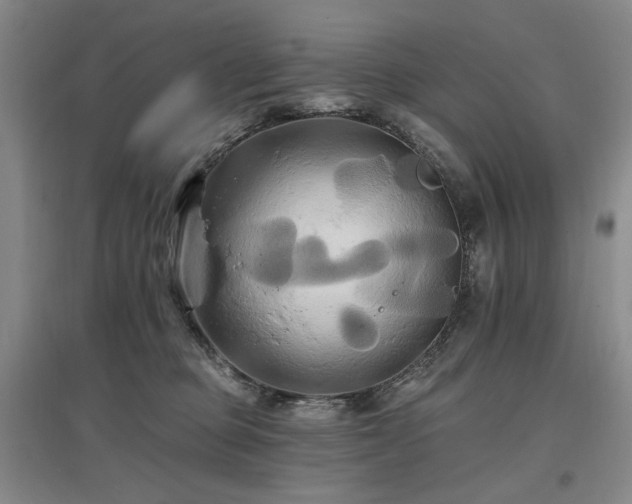 X0000097490373200802221421