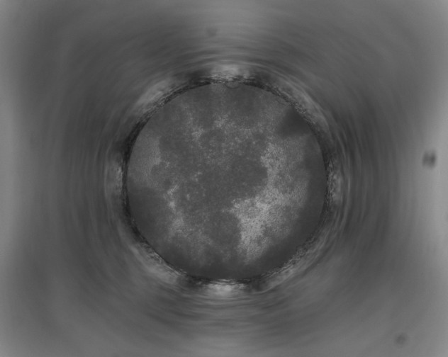 X0000097490375200802221421