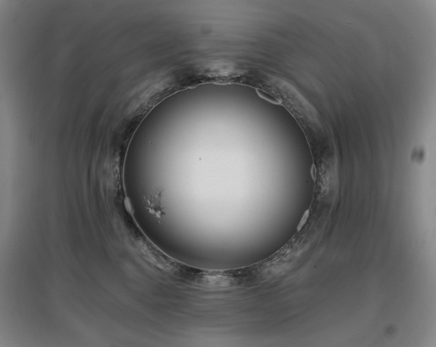 X0000097490376200802221421