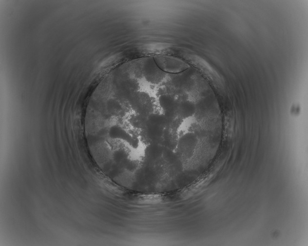 X0000097490377200802221421