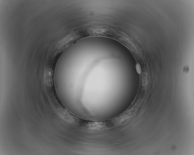 X0000097490378200802221421