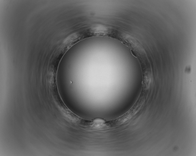 X0000097490379200802221421