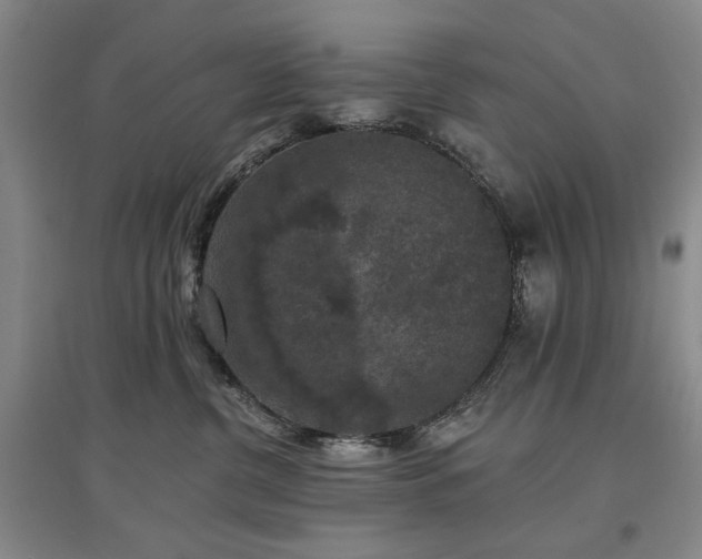 X0000097490380200802221421