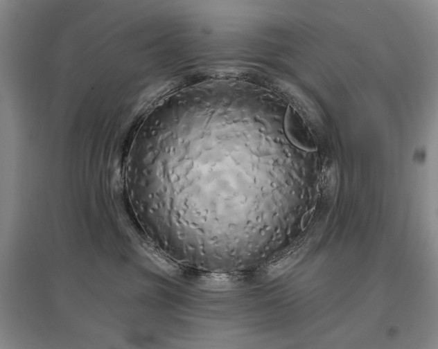 X0000097490381200802221421