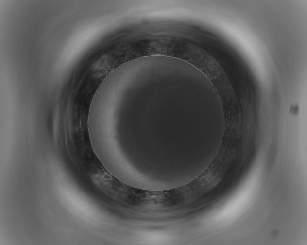 X0000097490382200802221421