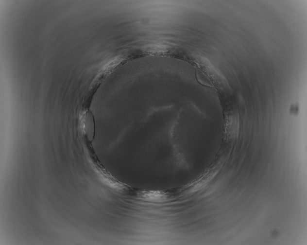 X0000097490383200802221421