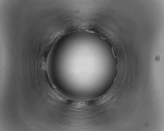 X0000097490384200802221421