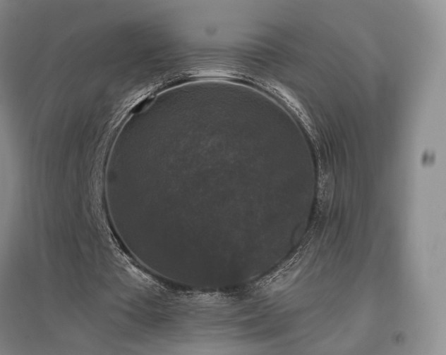 X0000097490385200802221420