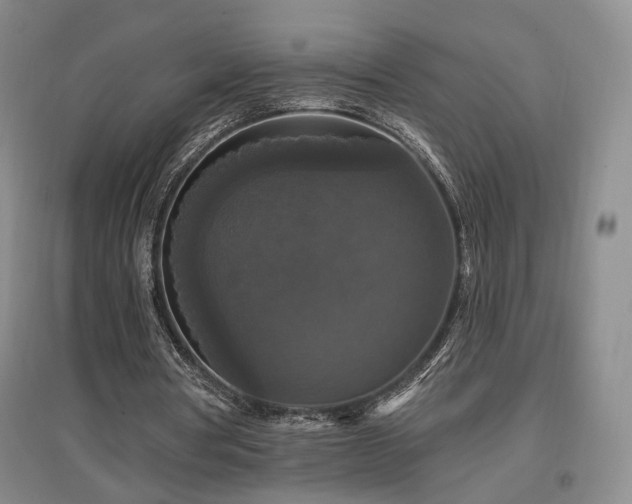 X0000097490386200802221420