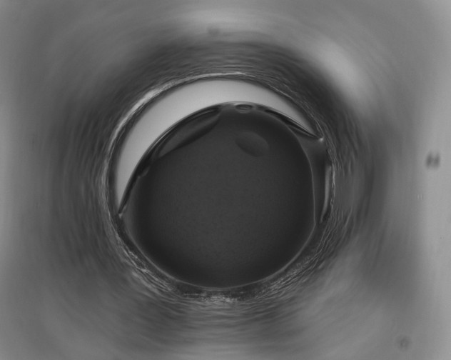 X0000097490387200802221420