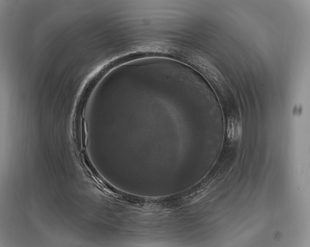 X0000097490388200802221420