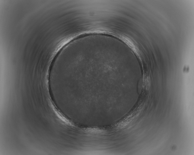 X0000097490389200802221420