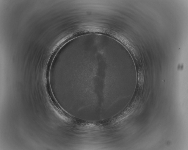 X0000097490390200802221420