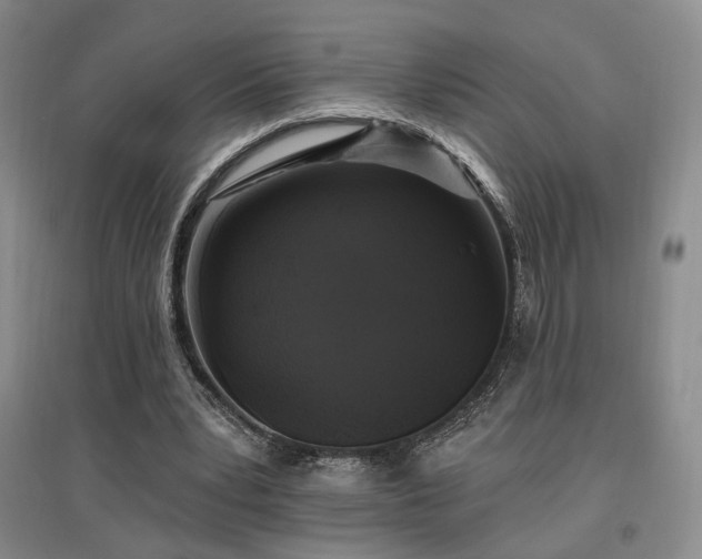 X0000097490391200802221420